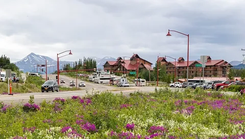 Guest buildings at Denali Princess Wilderness Lodge beyond roadside wildflowers, photographed in 2023.